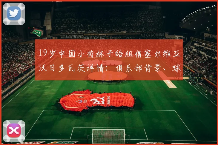 19岁中国小将林子皓租借塞尔维亚沃日多瓦茨详情：俱乐部背景、球员青训经历与留洋前景分析