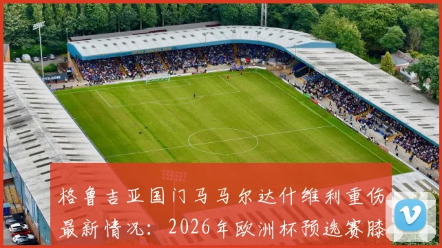 格鲁吉亚国门马马尔达什维利重伤最新情况：2026年欧洲杯预选赛膝盖深度创口，赛后被紧急送医